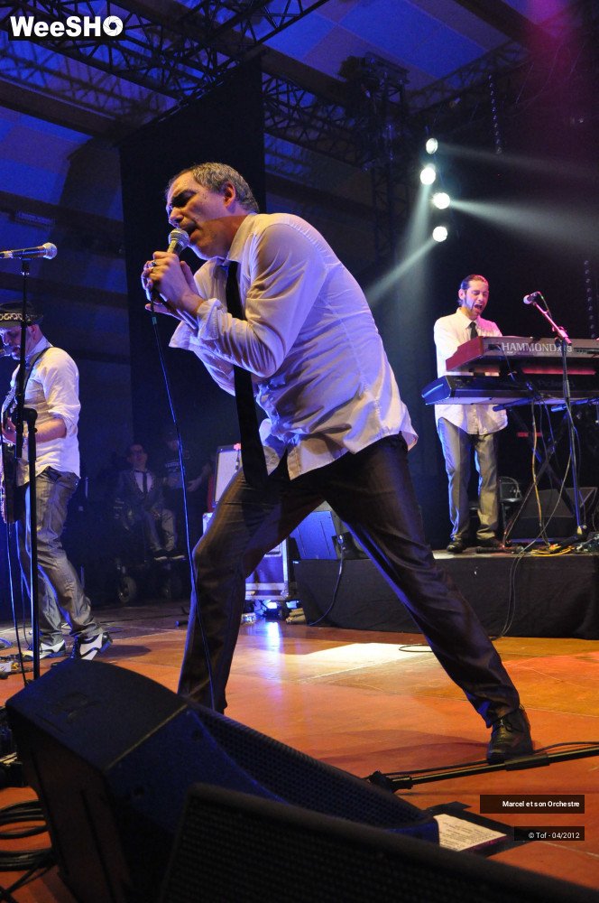 48/50 photos du spectacle Marcel et son Orchestre
