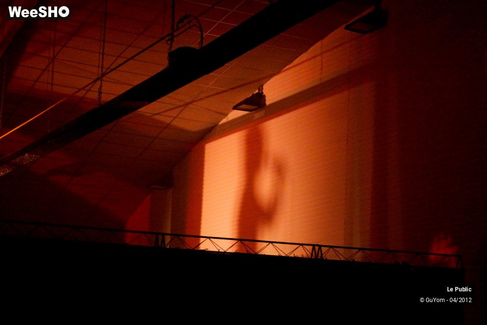 16/23 photos du spectacle Arthur H Ambiance