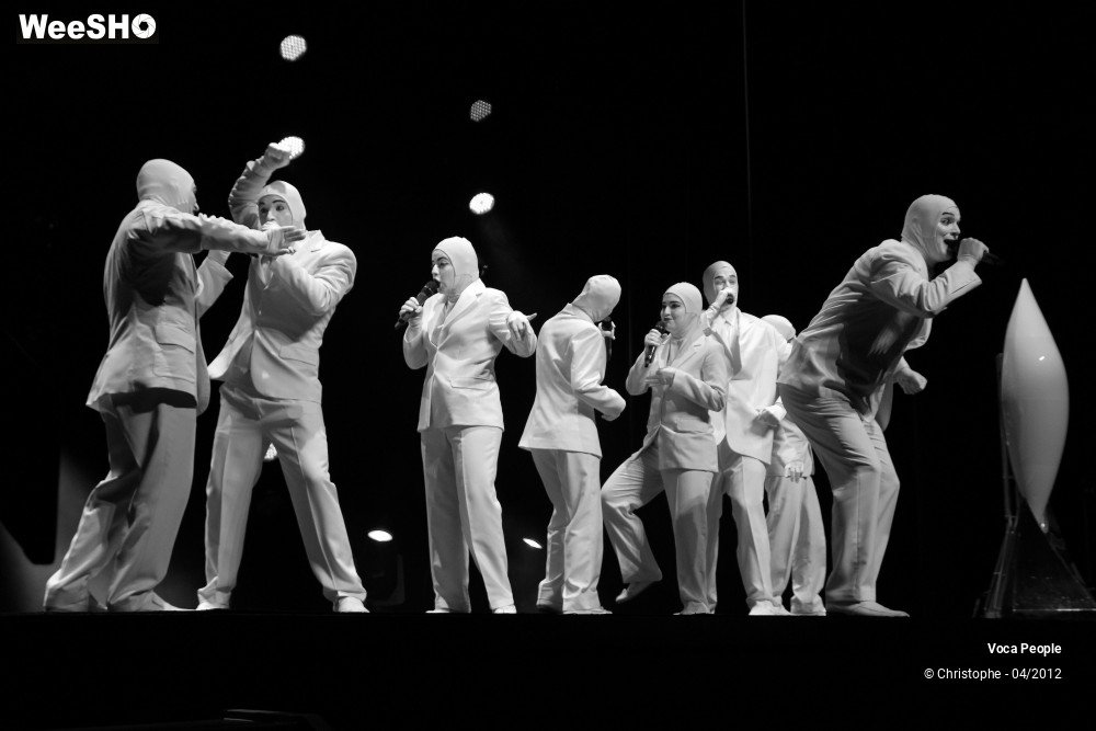 16/44 photos du spectacle Voca People