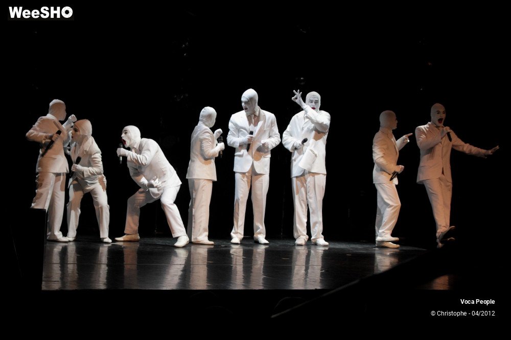 17/44 photos du spectacle Voca People