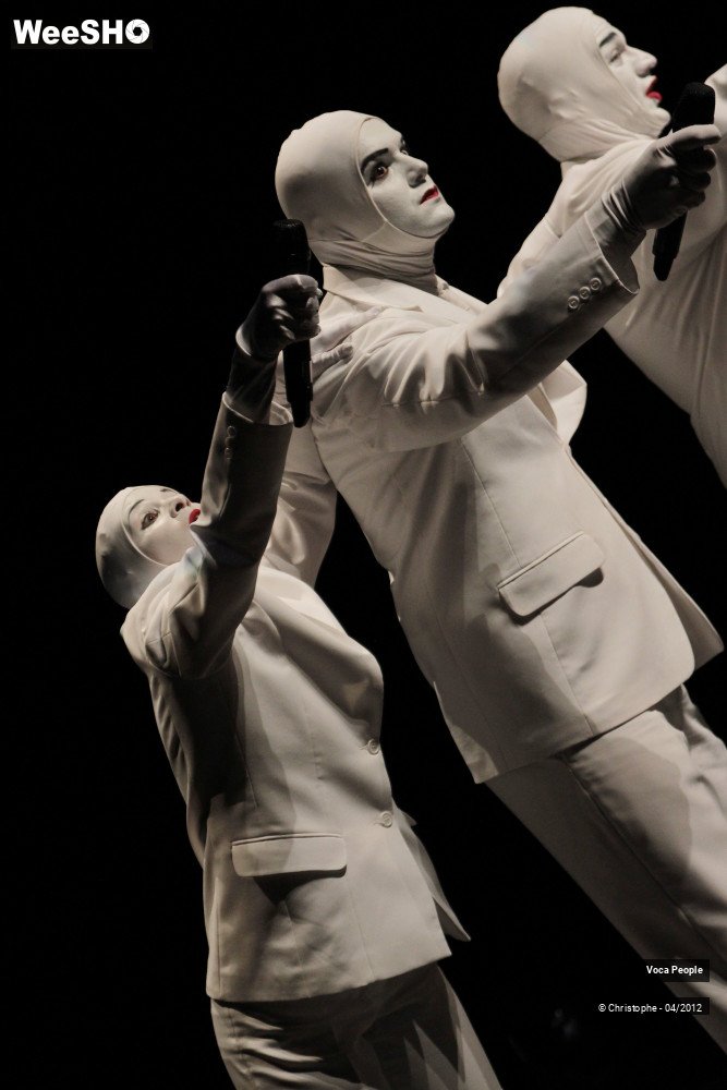 20/44 photos du spectacle Voca People