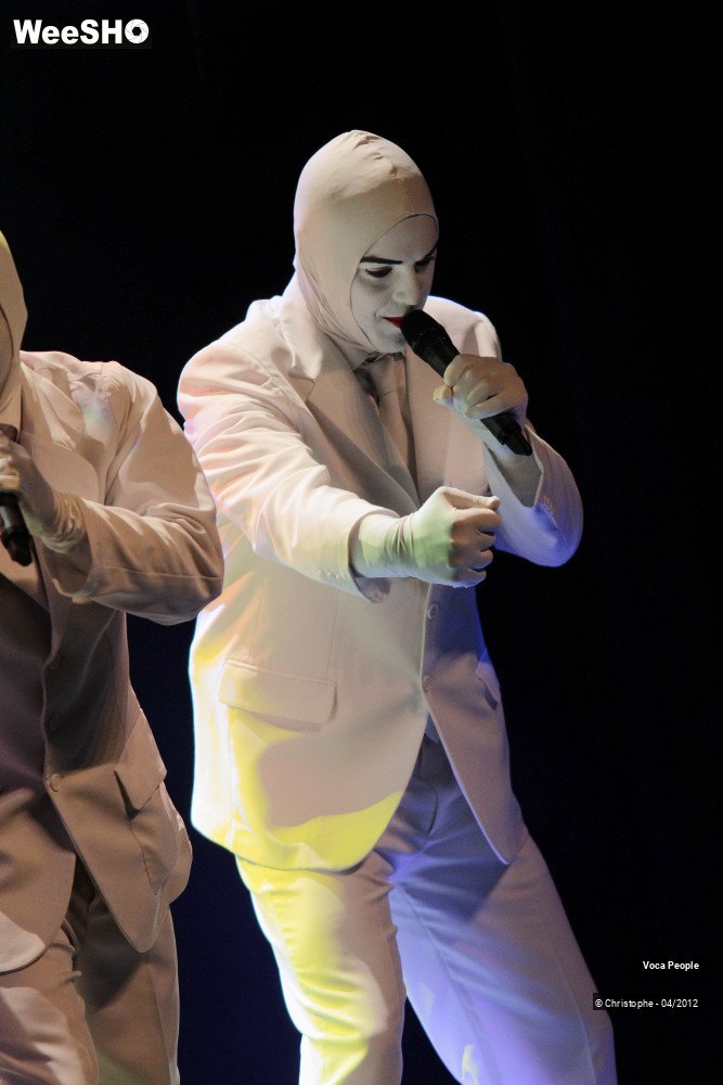 21/44 photos du spectacle Voca People