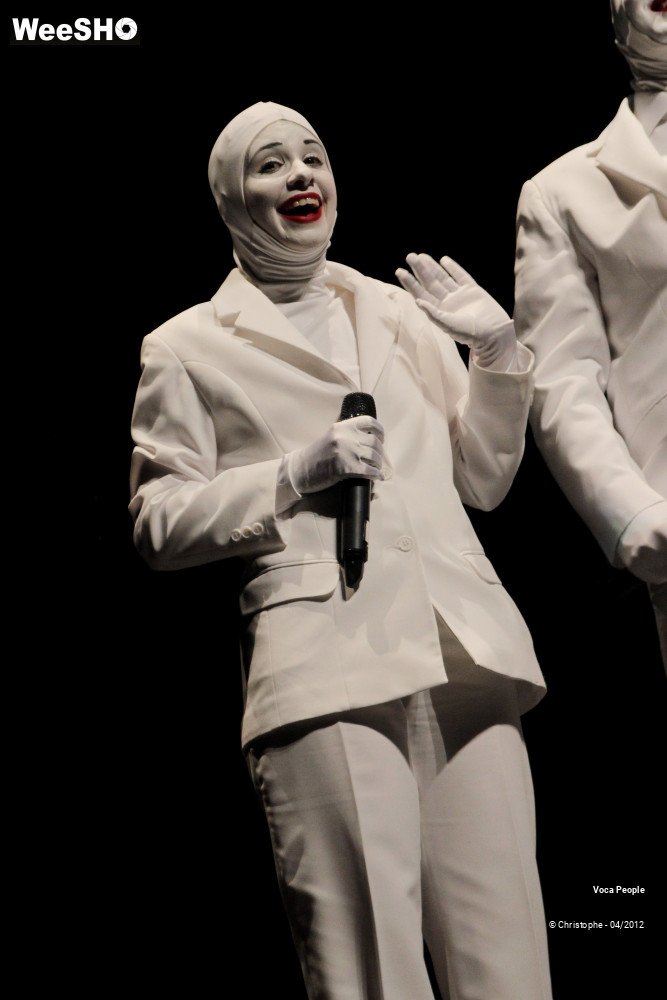 23/44 photos du spectacle Voca People