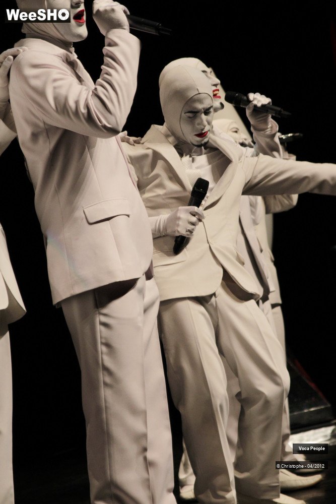 27/44 photos du spectacle Voca People