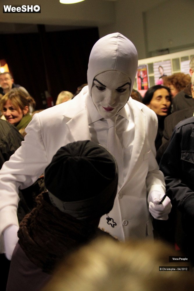 31/44 photos du spectacle Voca People