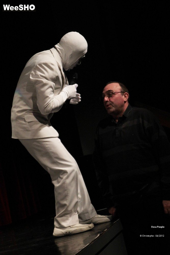 35/44 photos du spectacle Voca People