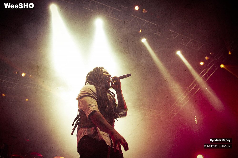 7/34 photos du spectacle Ky-Mani Marley