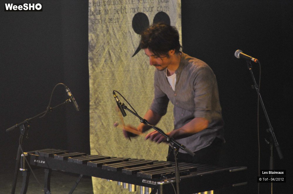 16/50 photos du spectacle Les Blaireaux