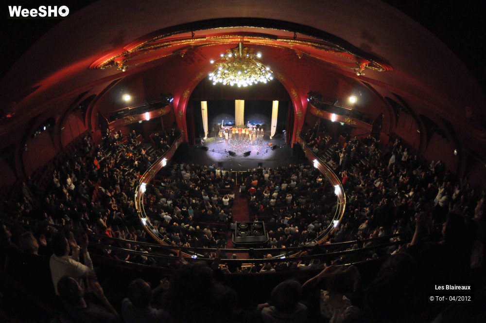 17/50 photos du spectacle Les Blaireaux