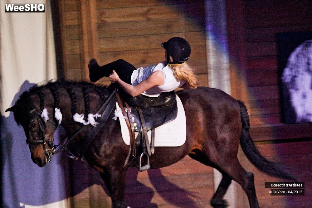 21/39 photos du spectacle Spectacle Equestre Juniors