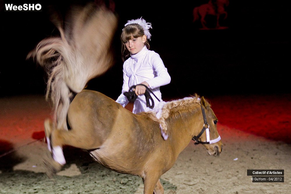 23/39 photos du spectacle Spectacle Equestre Juniors