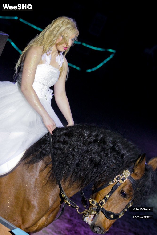 38/39 photos du spectacle Spectacle Equestre Juniors