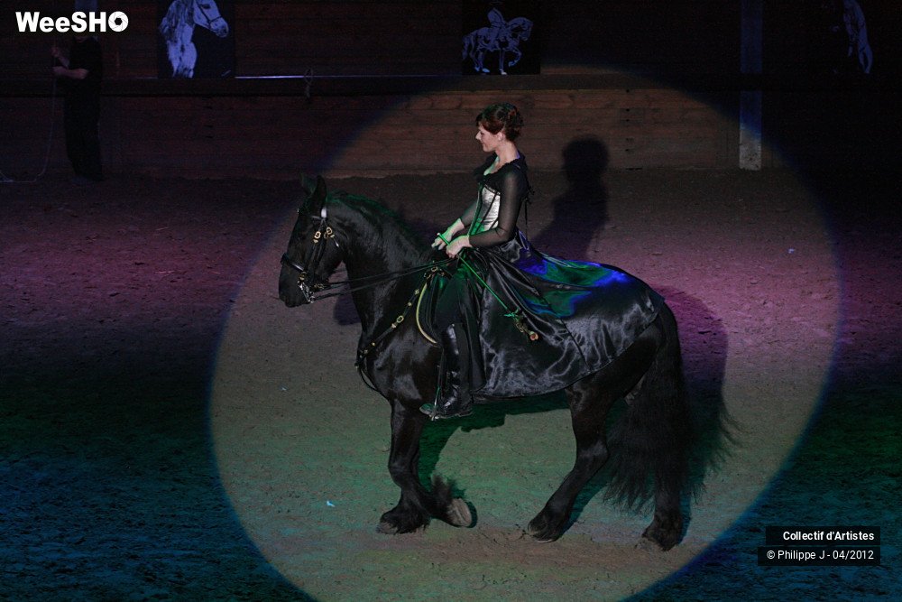 2/38 photos du spectacle Spectacle Equestre #1