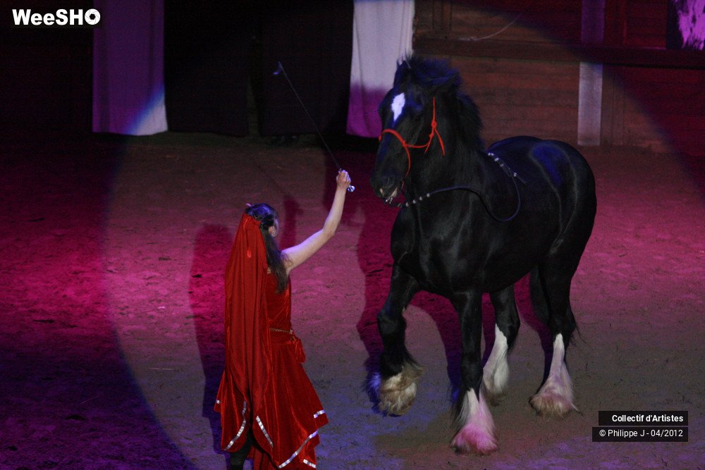 3/38 photos du spectacle Spectacle Equestre #1