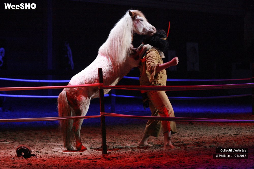 4/38 photos du spectacle Spectacle Equestre #1