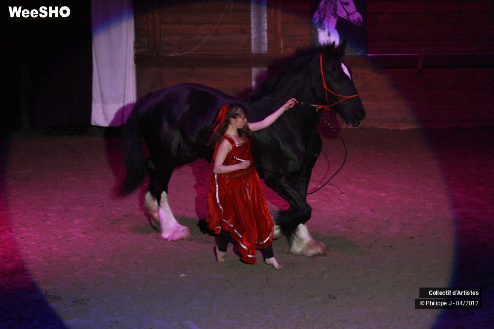 5/38 photos du spectacle Spectacle Equestre #1