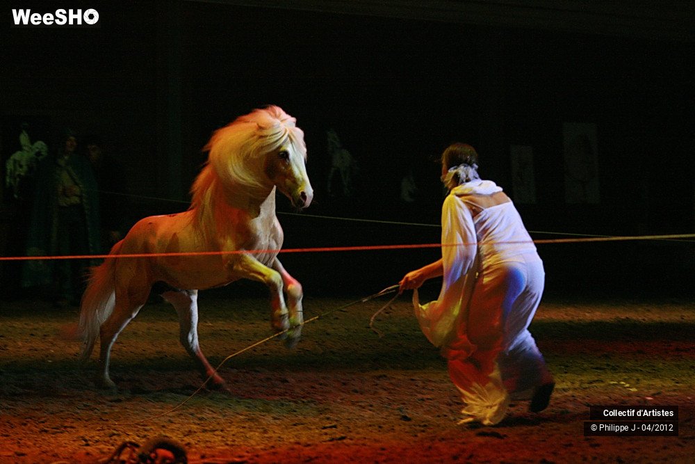 7/38 photos du spectacle Spectacle Equestre #1