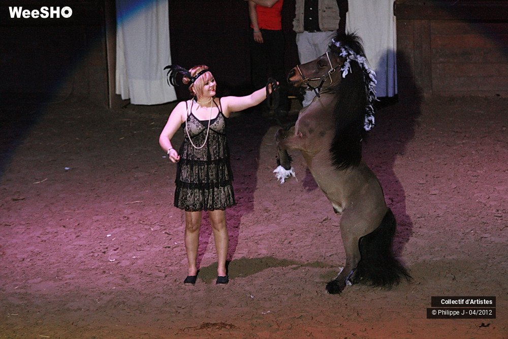 8/38 photos du spectacle Spectacle Equestre #1
