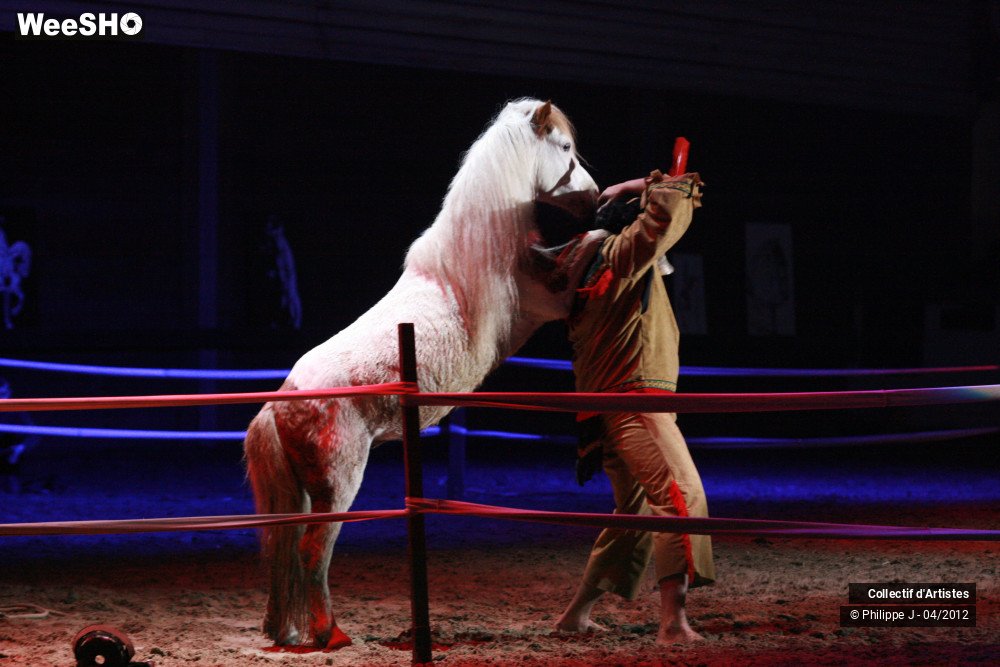 11/38 photos du spectacle Spectacle Equestre #1