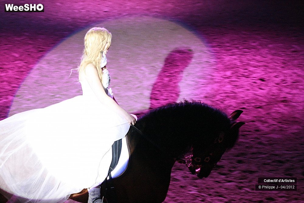 12/38 photos du spectacle Spectacle Equestre #1