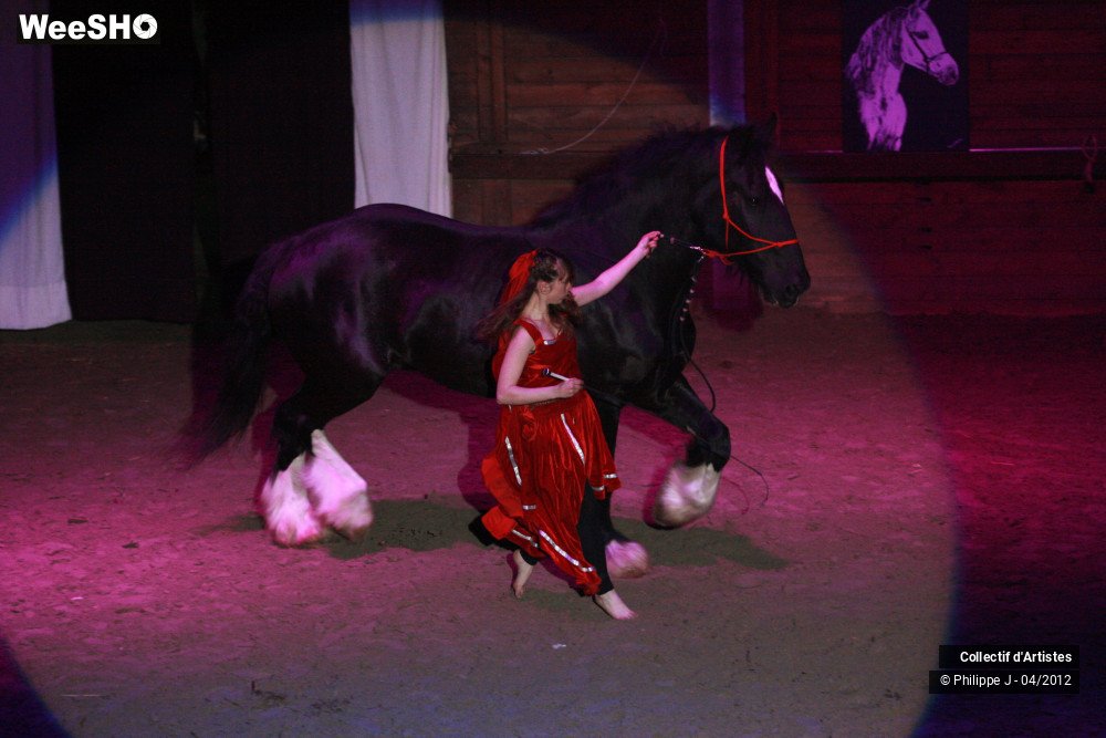 14/38 photos du spectacle Spectacle Equestre #1