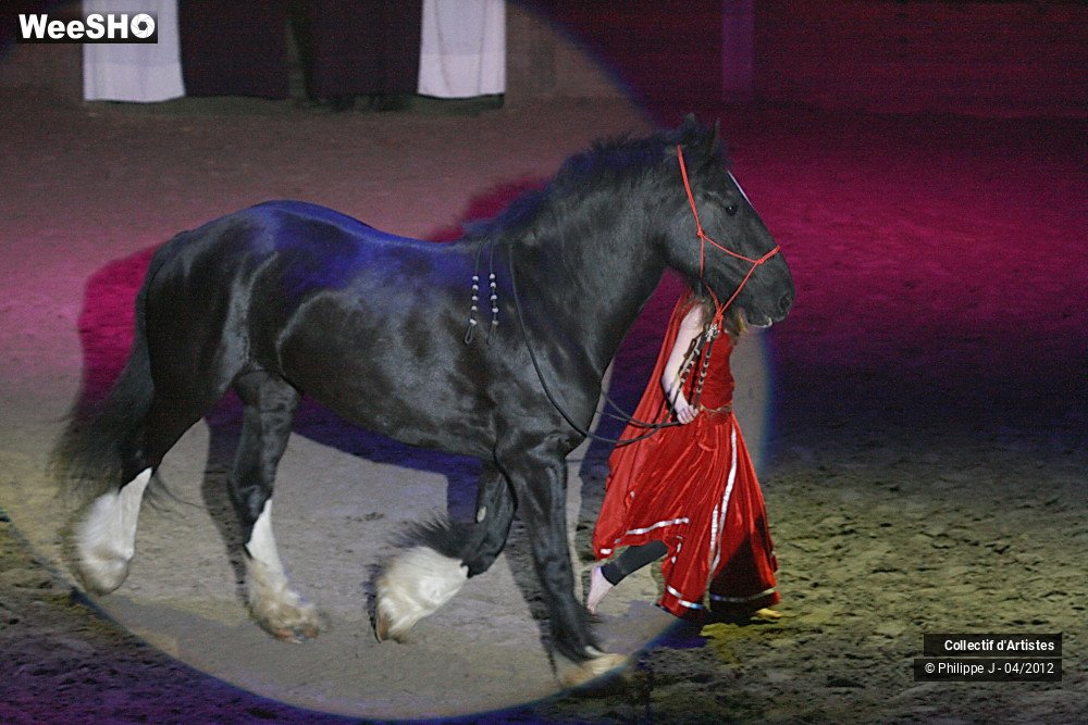 15/38 photos du spectacle Spectacle Equestre #1