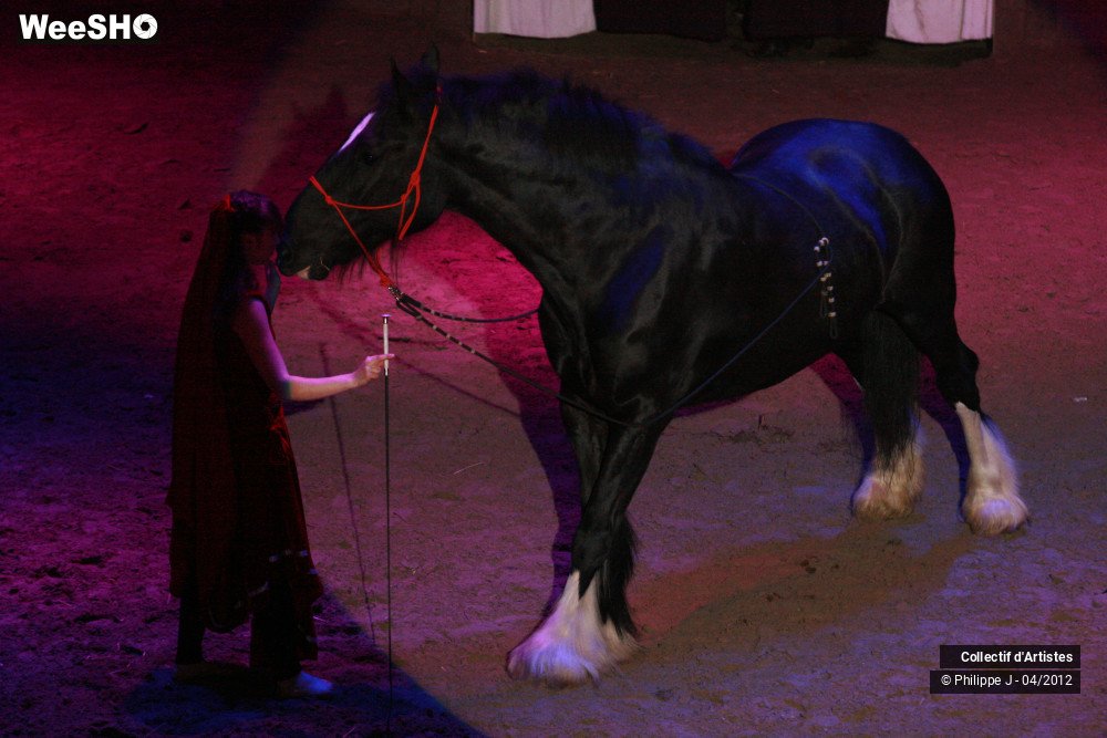 16/38 photos du spectacle Spectacle Equestre #1