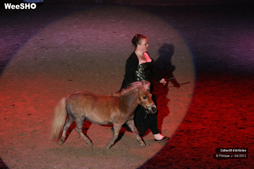17/38 photos du spectacle Spectacle Equestre #1