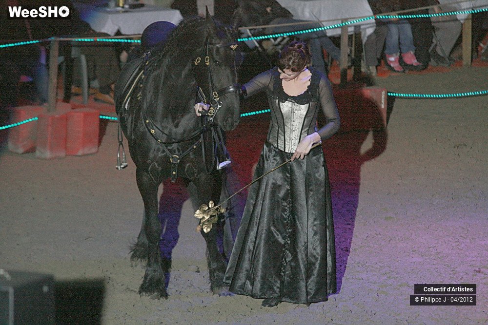 18/38 photos du spectacle Spectacle Equestre #1