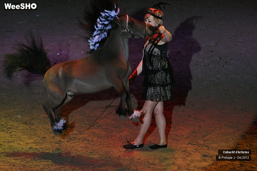 19/38 photos du spectacle Spectacle Equestre #1