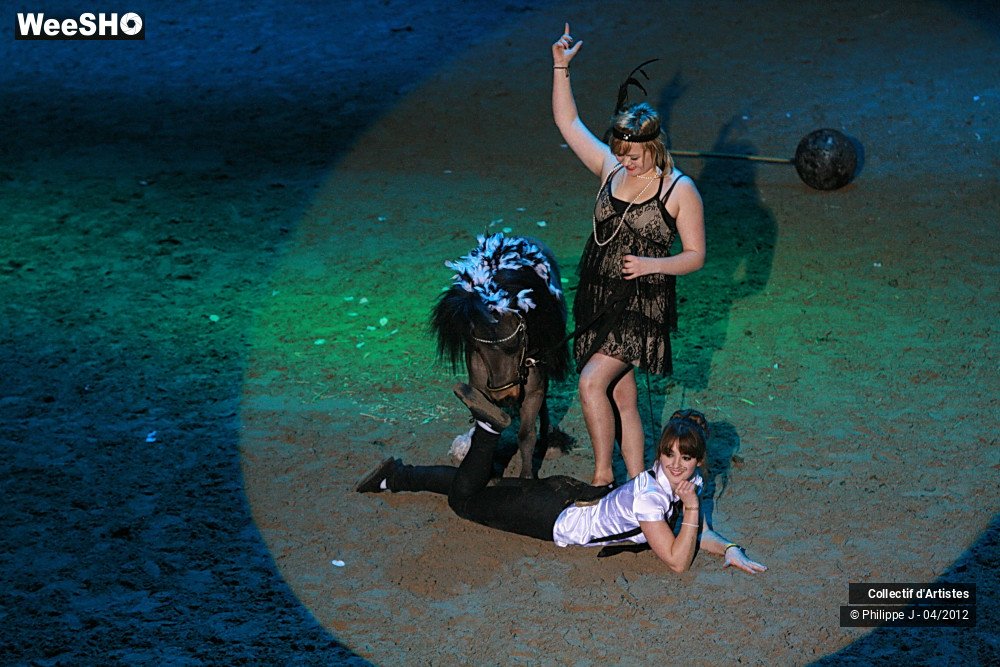 20/38 photos du spectacle Spectacle Equestre #1