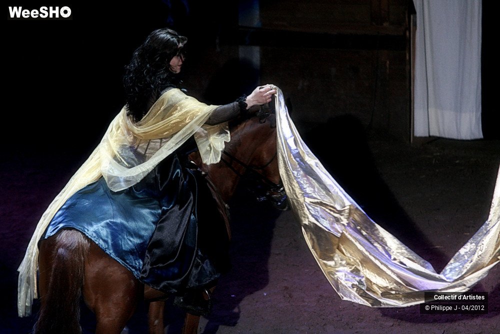 21/38 photos du spectacle Spectacle Equestre #1