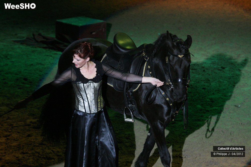 22/38 photos du spectacle Spectacle Equestre #1