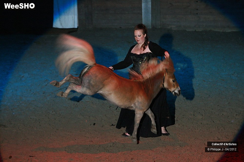 24/38 photos du spectacle Spectacle Equestre #1