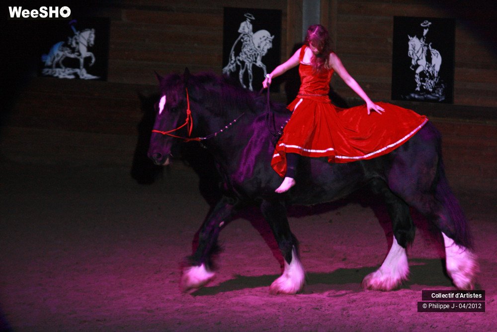 25/38 photos du spectacle Spectacle Equestre #1
