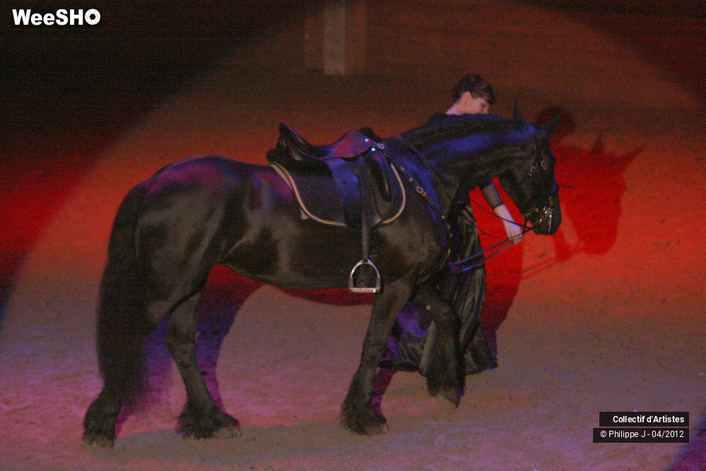 27/38 photos du spectacle Spectacle Equestre #1