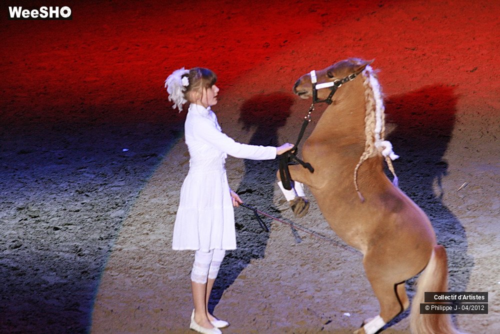 28/38 photos du spectacle Spectacle Equestre #1