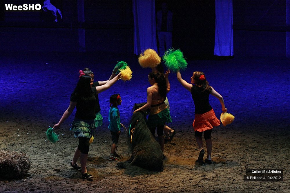 29/38 photos du spectacle Spectacle Equestre #1