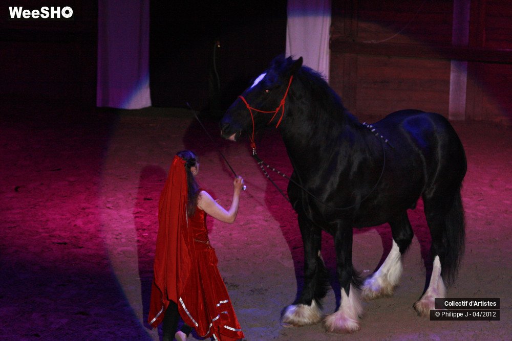 30/38 photos du spectacle Spectacle Equestre #1