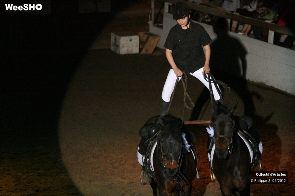 31/38 photos du spectacle Spectacle Equestre #1