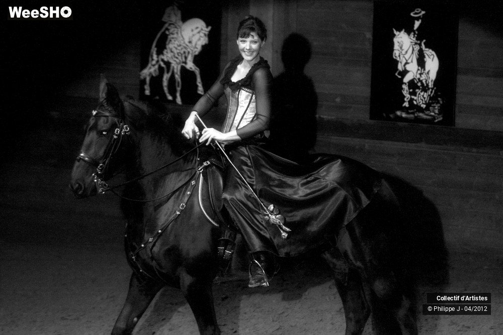 32/38 photos du spectacle Spectacle Equestre #1