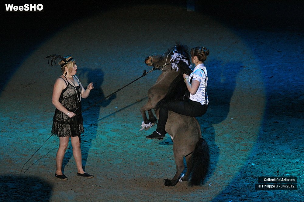 33/38 photos du spectacle Spectacle Equestre #1