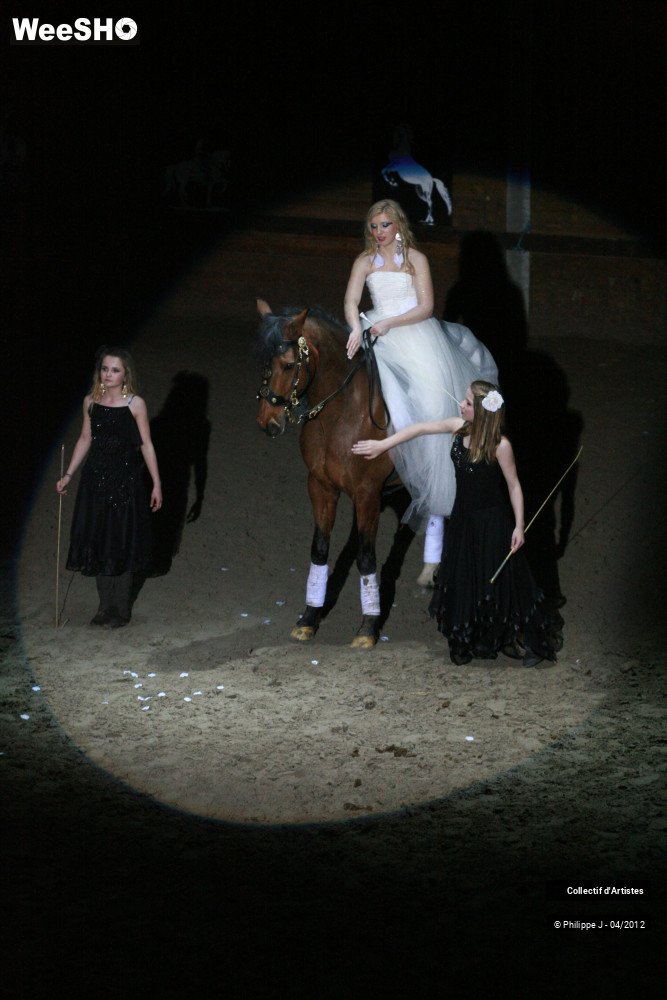 34/38 photos du spectacle Spectacle Equestre #1