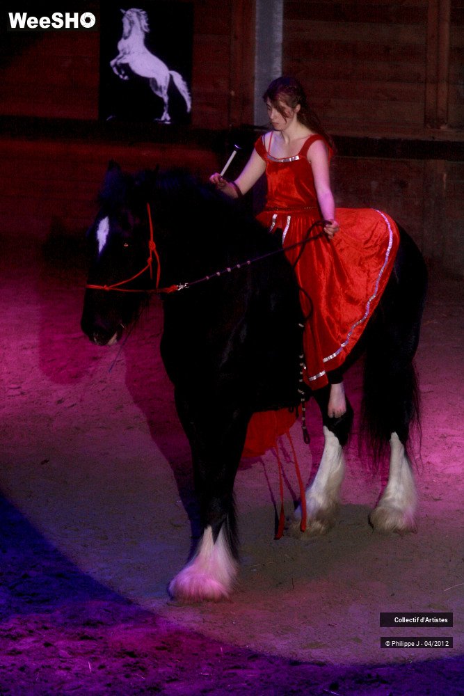 35/38 photos du spectacle Spectacle Equestre #1
