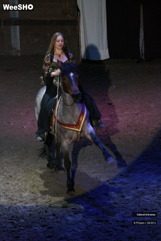 36/38 photos du spectacle Spectacle Equestre #1