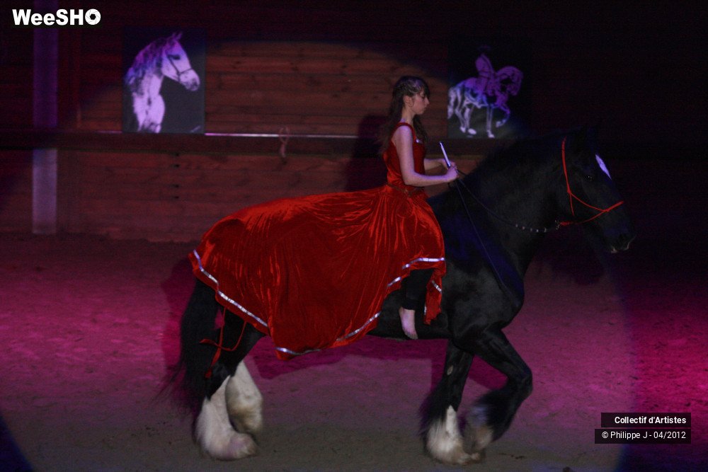 30/38 photos du spectacle Spectacle Equestre #2