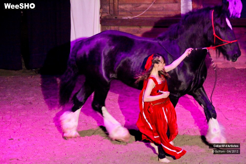 4/50 photos du spectacle Spectacle Equestre Seniors