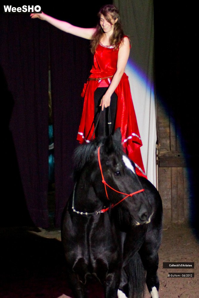 42/50 photos du spectacle Spectacle Equestre Seniors