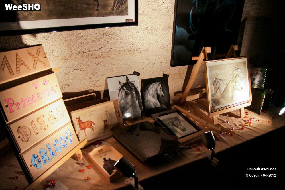 15/22 photos du spectacle Spectacle Equestre Ambiance