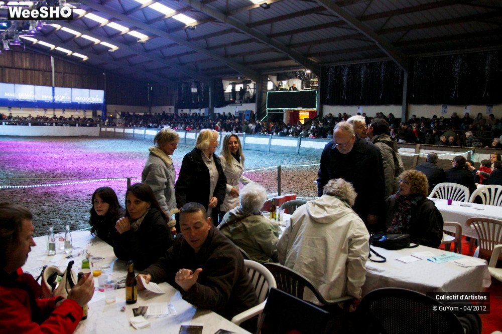 18/22 photos du spectacle Spectacle Equestre Ambiance